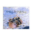 口の悪い魚たち。（個別スタンプ：7）