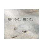 口の悪い魚たち。（個別スタンプ：8）