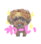 いっっっっぬ（個別スタンプ：8）