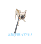 小次郎とニコ♪（個別スタンプ：2）