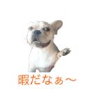 小次郎とニコ♪（個別スタンプ：4）