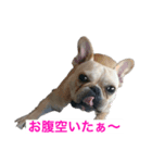 小次郎とニコ♪（個別スタンプ：5）