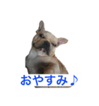 小次郎とニコ♪（個別スタンプ：6）