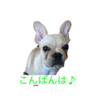 小次郎とニコ♪（個別スタンプ：8）