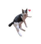 メイ♡''（個別スタンプ：1）