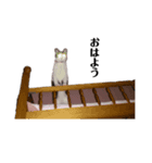 メイ♡''（個別スタンプ：3）