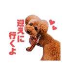マハロのすたんぷ（個別スタンプ：7）