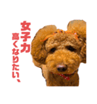 マハロのすたんぷ（個別スタンプ：18）