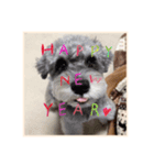 ❤️୨୧Xmas＆NewYear୨୧❤️❤︎（個別スタンプ：2）