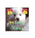 ❤️୨୧Xmas＆NewYear୨୧❤️❤︎（個別スタンプ：3）