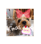 ❤️୨୧Xmas＆NewYear୨୧❤️❤︎（個別スタンプ：5）