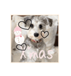 ❤️୨୧Xmas＆NewYear୨୧❤️❤︎（個別スタンプ：8）