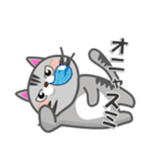 毎日ネコと一緒LINEスタンプ（個別スタンプ：5）