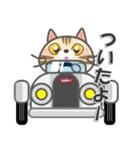 毎日ネコと一緒LINEスタンプ（個別スタンプ：6）