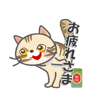 毎日ネコと一緒LINEスタンプ（個別スタンプ：11）