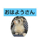 楓汰（個別スタンプ：1）
