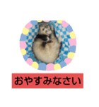 楓汰（個別スタンプ：2）