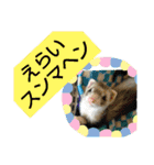 楓汰（個別スタンプ：3）