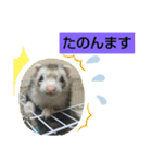 楓汰（個別スタンプ：5）