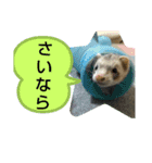 楓汰（個別スタンプ：6）
