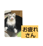 楓汰（個別スタンプ：7）