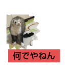 楓汰（個別スタンプ：8）