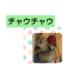 楓汰（個別スタンプ：9）