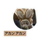 楓汰（個別スタンプ：11）