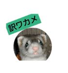 楓汰（個別スタンプ：13）