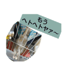 楓汰（個別スタンプ：14）