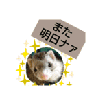楓汰（個別スタンプ：16）