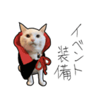 【オタ活】猫スタンプ（個別スタンプ：2）