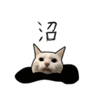 【オタ活】猫スタンプ（個別スタンプ：11）
