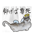 【オタ活】猫スタンプ（個別スタンプ：16）