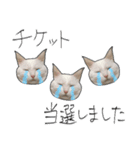 【オタ活】猫スタンプ（個別スタンプ：21）