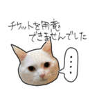 【オタ活】猫スタンプ（個別スタンプ：22）