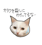 【オタ活】猫スタンプ（個別スタンプ：23）