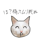 【オタ活】猫スタンプ（個別スタンプ：24）