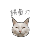 【オタ活】猫スタンプ（個別スタンプ：26）