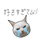 【オタ活】猫スタンプ（個別スタンプ：28）
