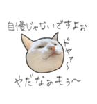 【オタ活】猫スタンプ（個別スタンプ：32）