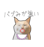 【オタ活】猫スタンプ（個別スタンプ：35）