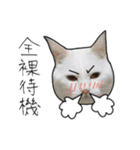 【オタ活】猫スタンプ（個別スタンプ：40）