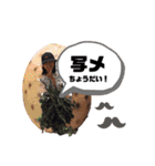 下村fam日常スタンプ（個別スタンプ：24）