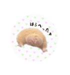 ごめんま（個別スタンプ：3）