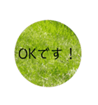 写真の背景スタンプ（個別スタンプ：1）