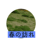 写真の背景スタンプ（個別スタンプ：11）
