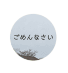 写真の背景スタンプ（個別スタンプ：13）