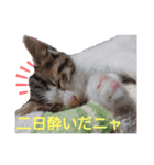 見つめるキャッツ・アイ♡（個別スタンプ：5）