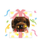 ❤️୨୧ご挨拶୨୧❤️スタンプ❤︎.*（個別スタンプ：6）